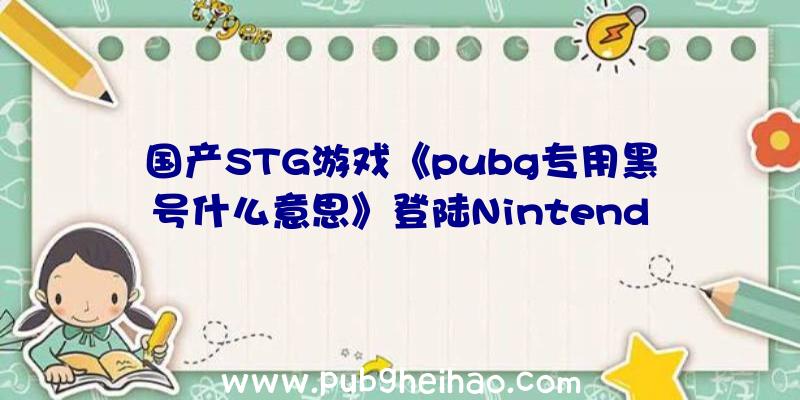 国产STG游戏《pubg专用黑号什么意思》登陆Nintendo